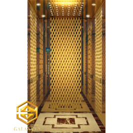 Thang máy FUJI-Hitech (Vàng Titan)