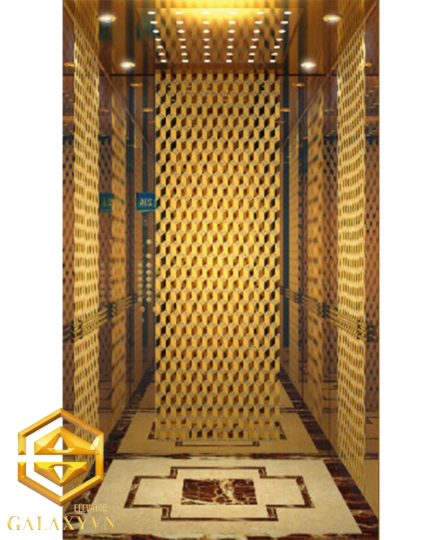 Thang máy FUJI-Hitech (Vàng Titan)